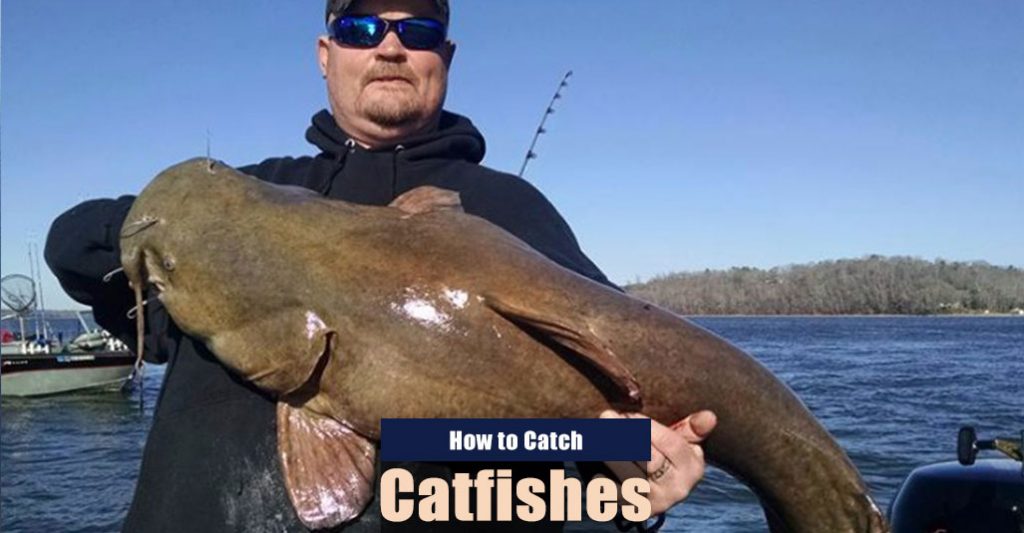 How to Catch Catfish in Lakes, Ponds, and Rivers