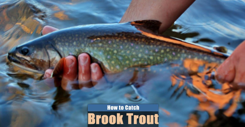 How to Catch Brook Trout in a Lake