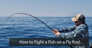 How to Fight a Fish on a Fly Rod