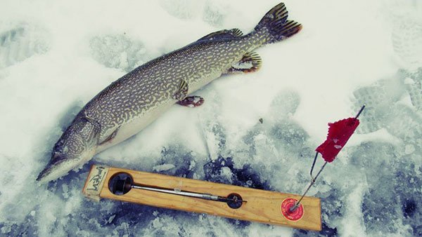 How to Tie an Ice Fishing Knot