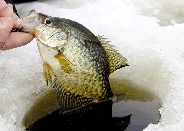 How Late in the Year Can You Ice Fish?