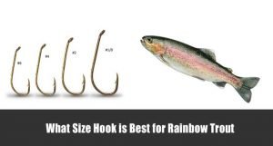 What Size Hook is Best for Rainbow Trout