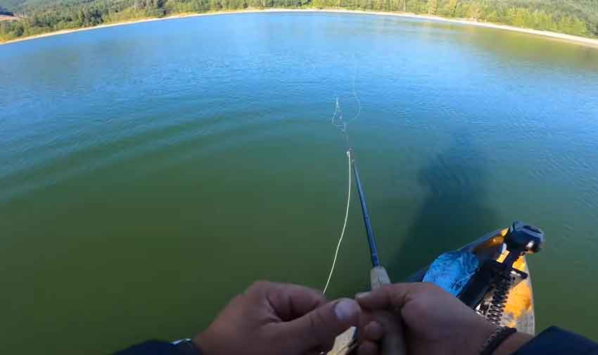 How to Catch Trout in a Lake Kayak