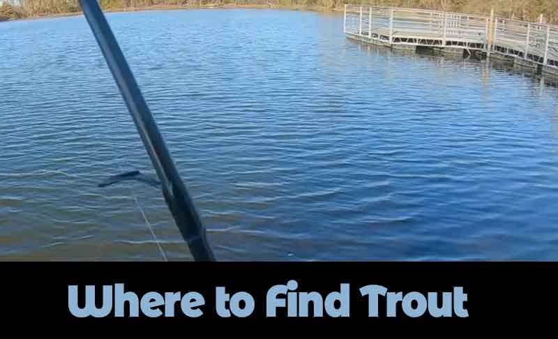Where to Find Trout